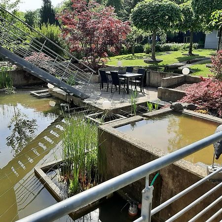 Ferienwohnung Sternenwald อัลฟ์ ภายนอก รูปภาพ