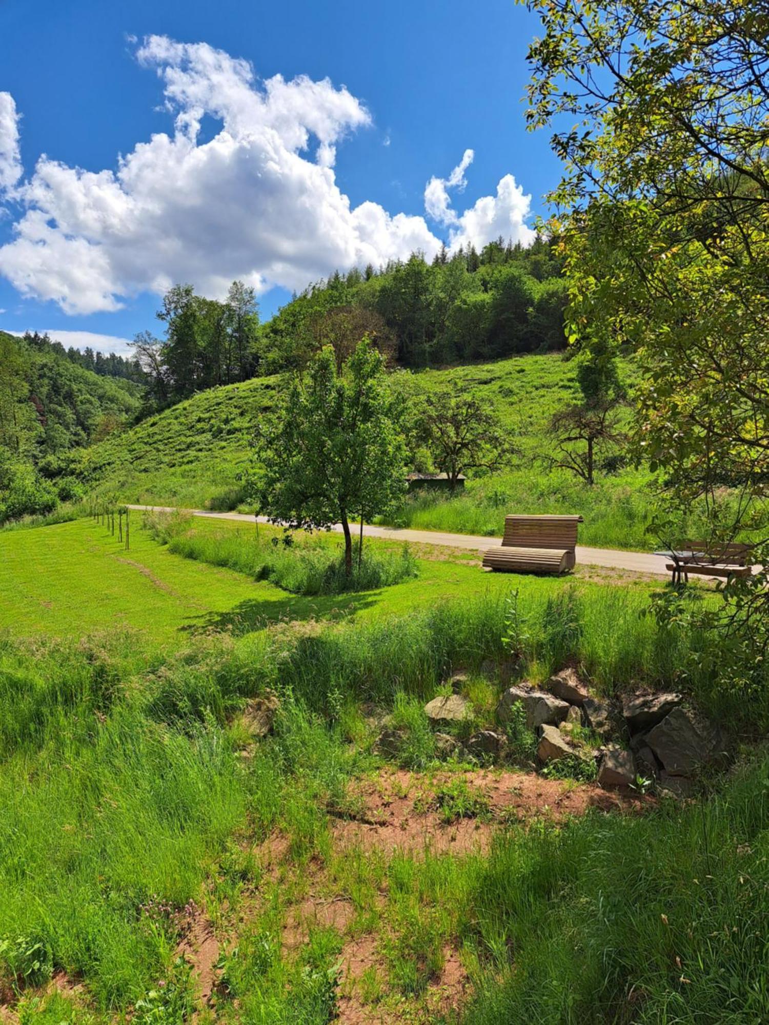 Ferienwohnung Sternenwald อัลฟ์ ภายนอก รูปภาพ